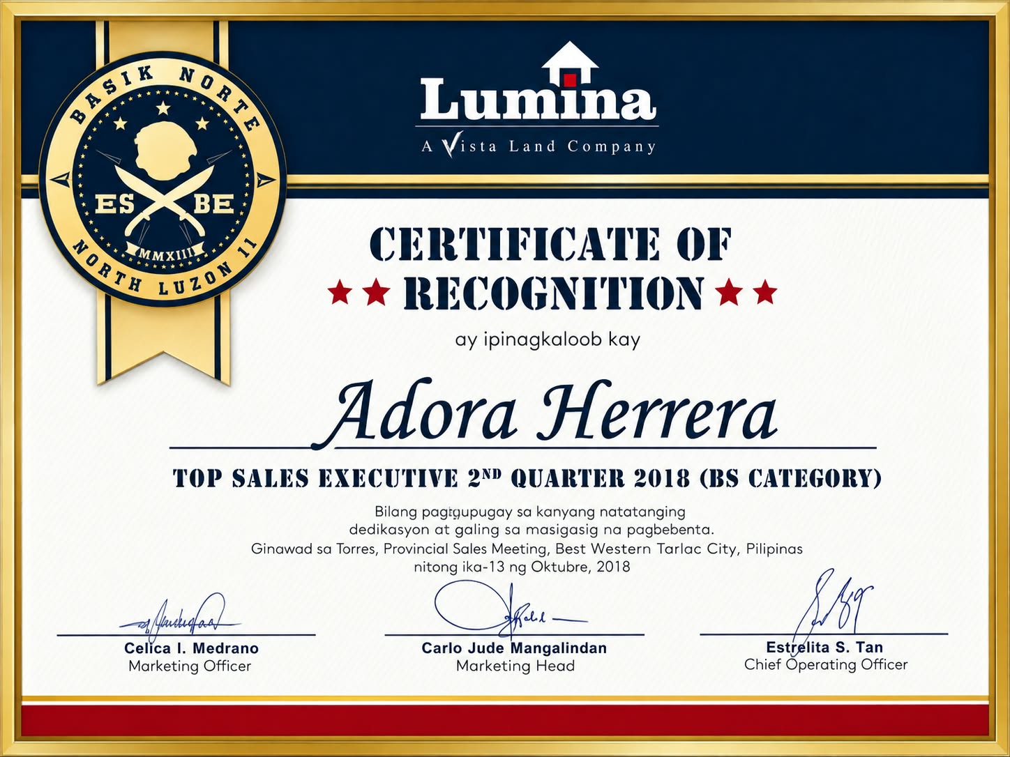 TOP Sales Executive 2nd quarter 2018 (BS CATEGORY)